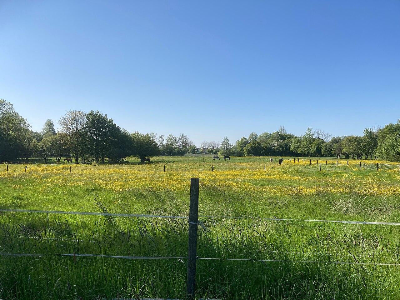 Het groene gebied bij Beijum, Drielanden en Kardinge.
