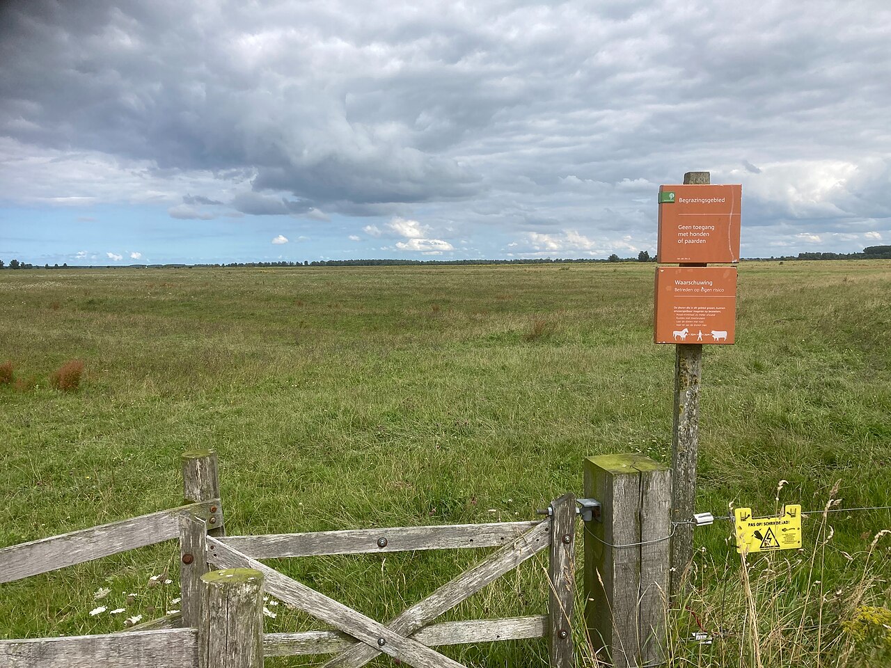 Het open landschap bij de Kwelderweg in het Lauwersmeergebied.