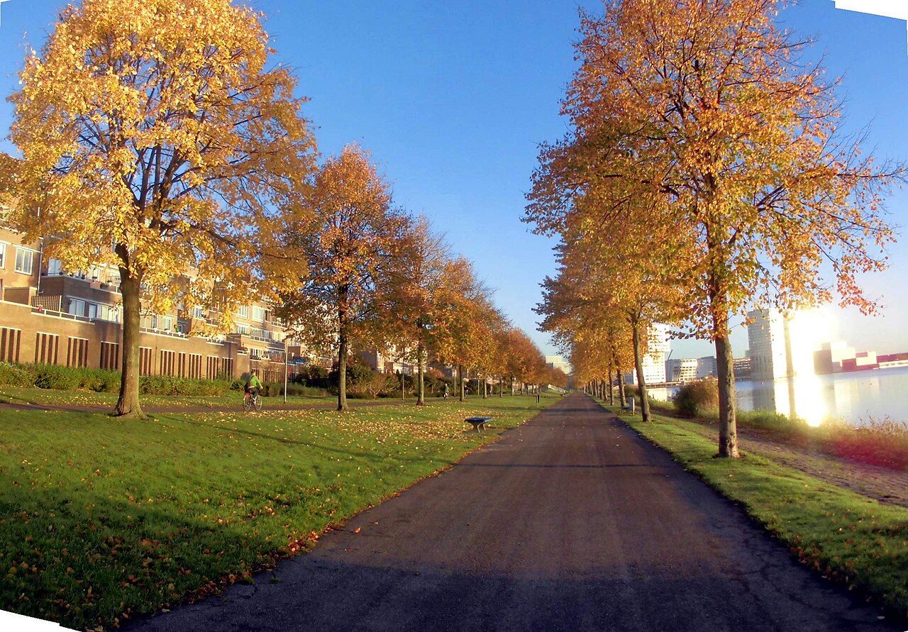 De oeverpromenade langs het Weerwater in Almere.