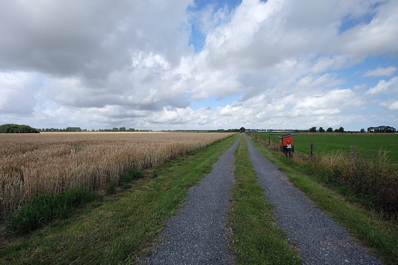 Het pad door het akkerland bij Groede.