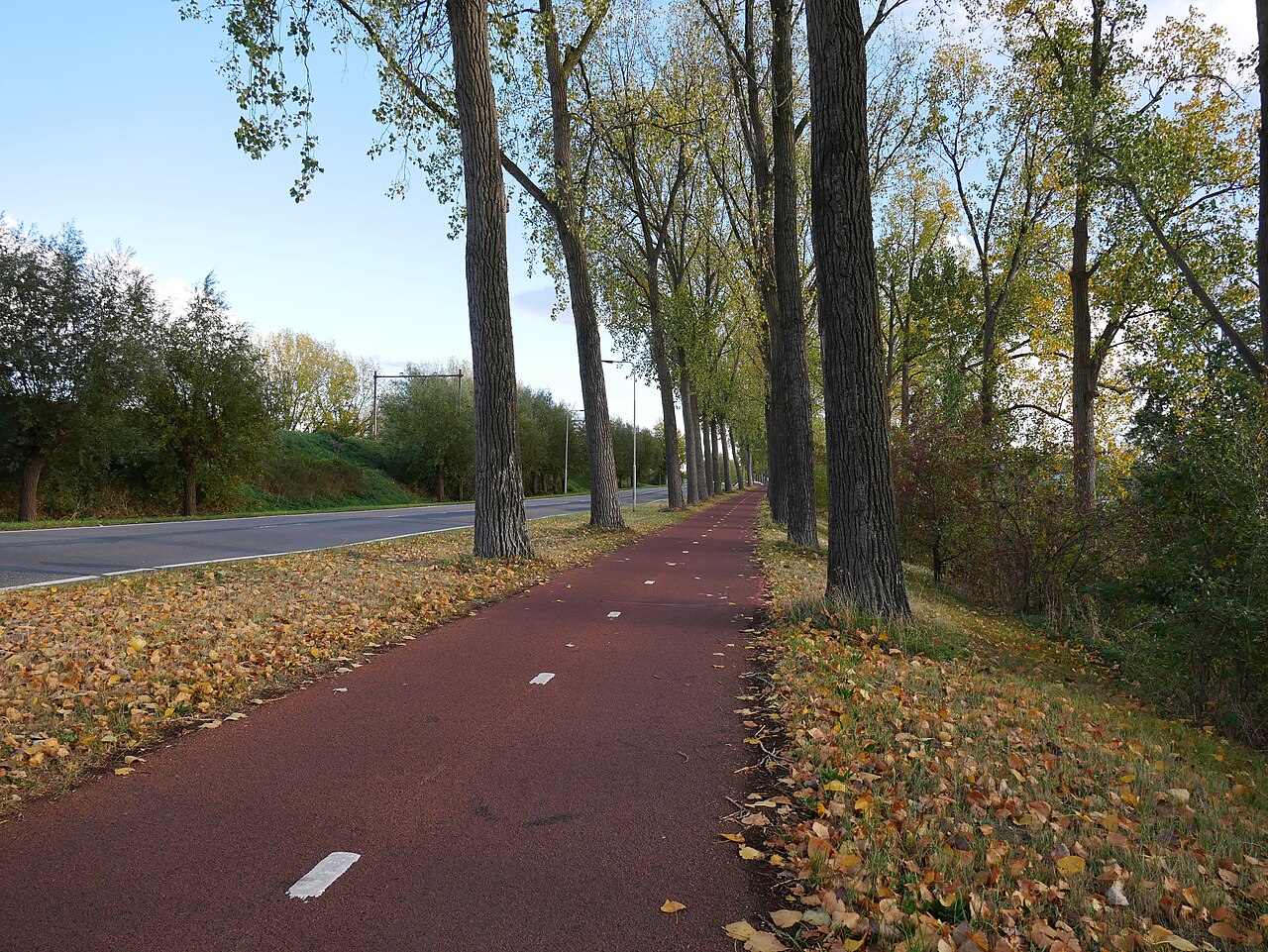De fietsroute langs de Oude Zevenaarseweg in Arnhem.