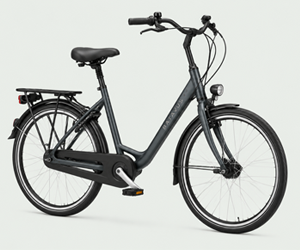Compacte en stabiele stadsfiets met lage instap en comfortabele rechte zithouding.